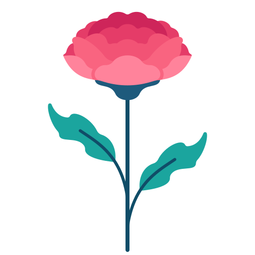 Carnation